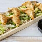 Best A4. Gyoza (6) in Riverview, FL